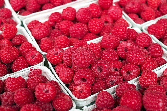 fun things to do in Fort Smith Arkansas - Twin City Produce - photo of raspberries