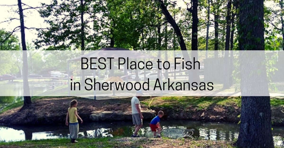 3 BEST Trout Fishing Rivers in Arkansas All About Arkansas