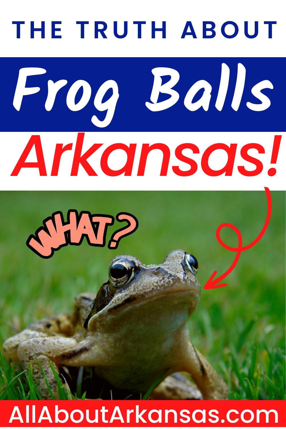 THE TRUTH About Frog Balls, Arkansas All About Arkansas